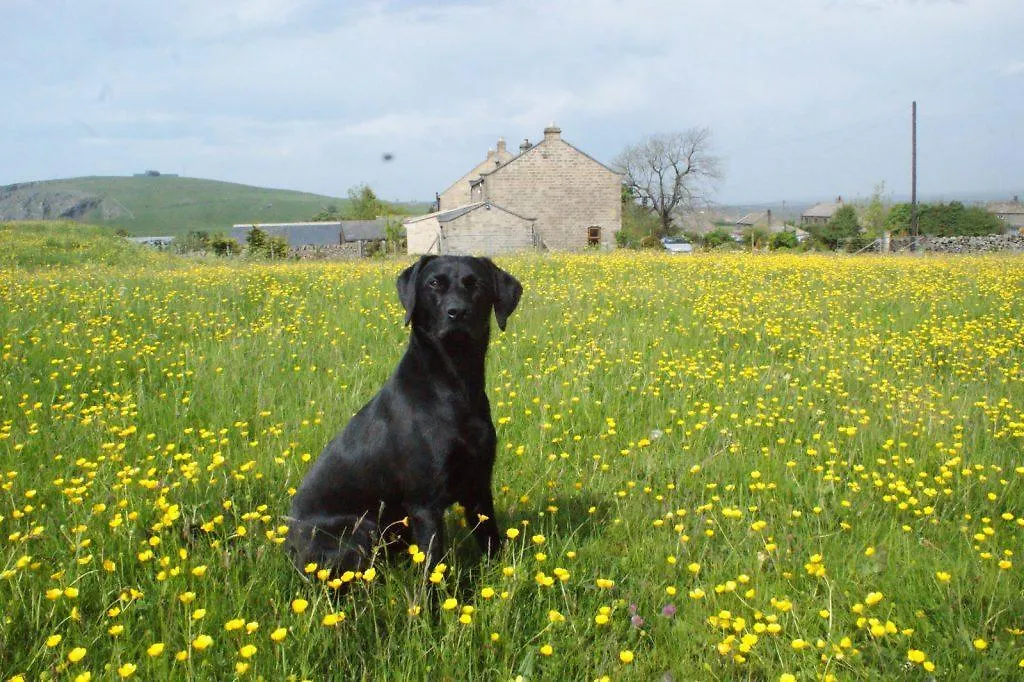 East Wayside B&B Harrogate United Kingdom